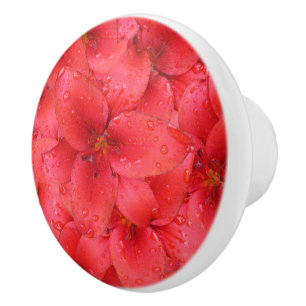 Flower Photo Red Garden Lilies Ceramic Knob