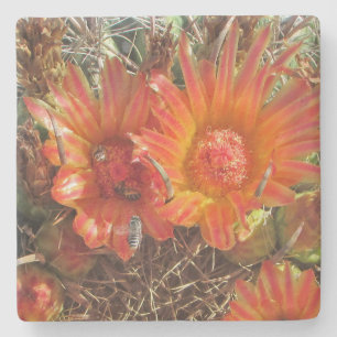 Flower Photo with Bees Bright Orange Cactus Blooms Stone Coaster