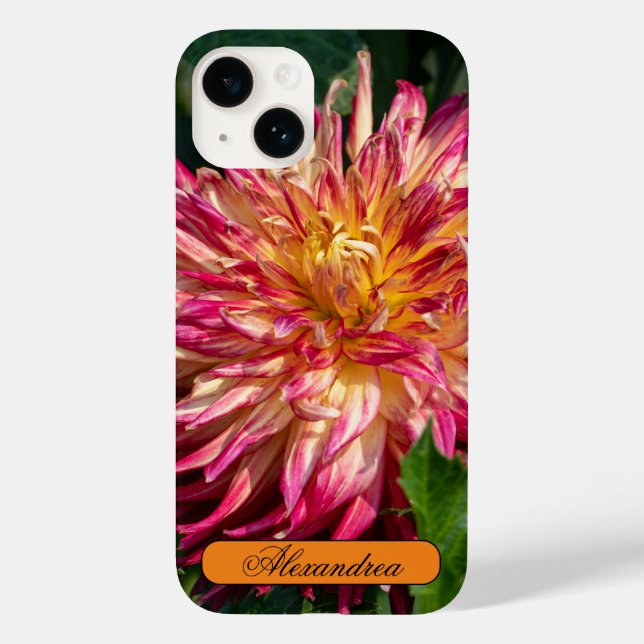 Flower Photography, Orange Chrysanthemum Case-Mate iPhone Case (Back)