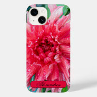 Flower Photography, Pink Dahlia