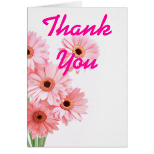 Flower Pink Daisies Multi purpose Announcements