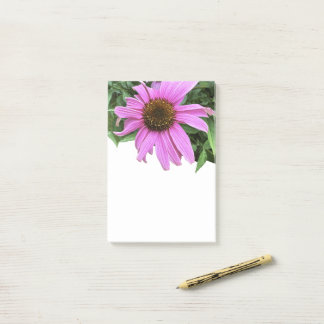 Flower pink purple daisy coneflower leaf backgroun post-it notes