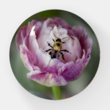Flower Pink Tulip and Bee Paperweight