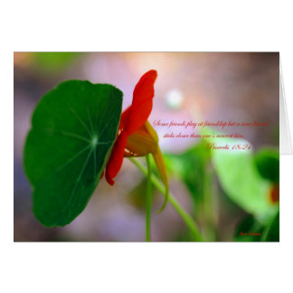 Flower & Plant lean on each other.