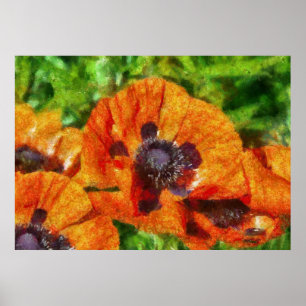 Flower - Poppy - Orange Poppies Poster