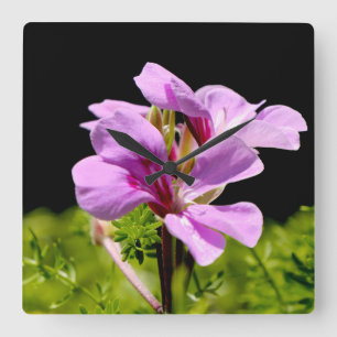Flower Portrait Square Wall Clock