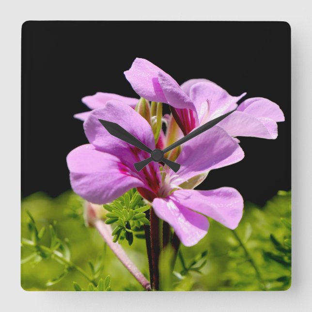Flower Portrait Square Wall Clock (Front)