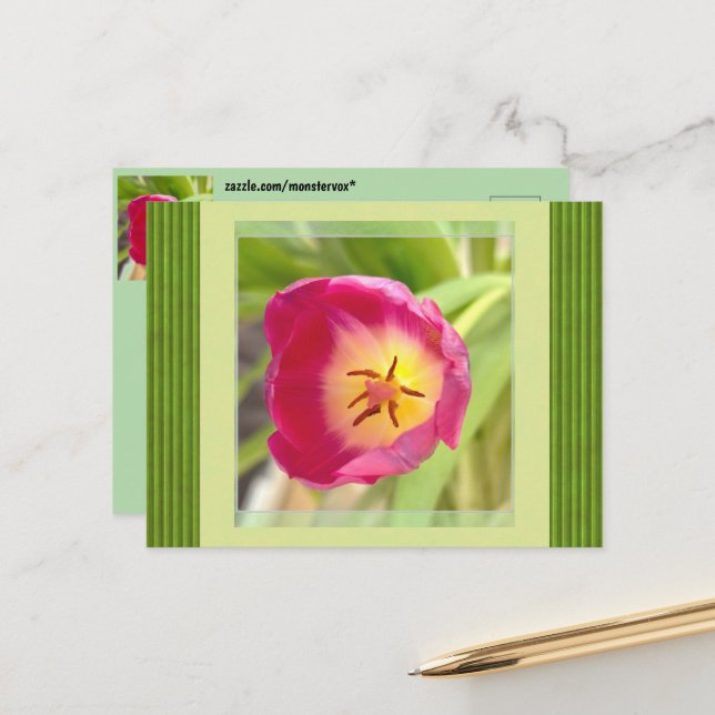 Flower Postcard (Front/Back In Situ)