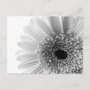 Flower Postcard