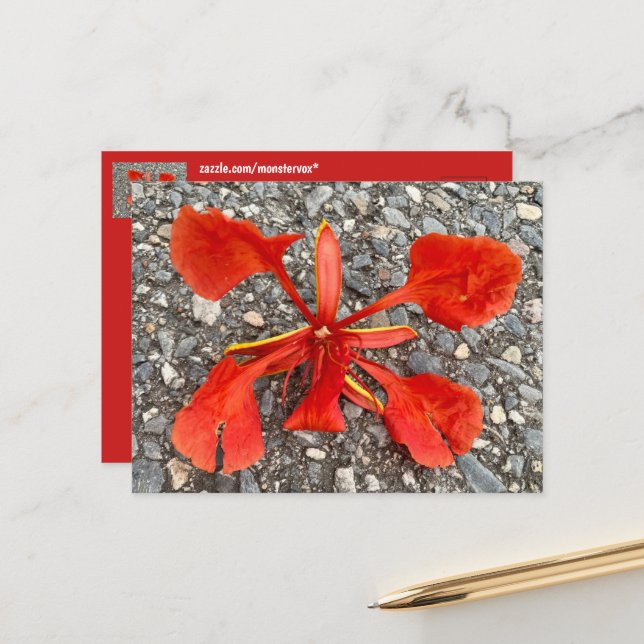 Flower Postcard (Front/Back In Situ)