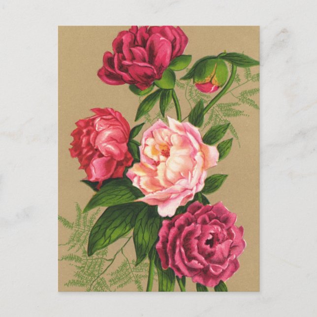 Flower Postcard (Front)