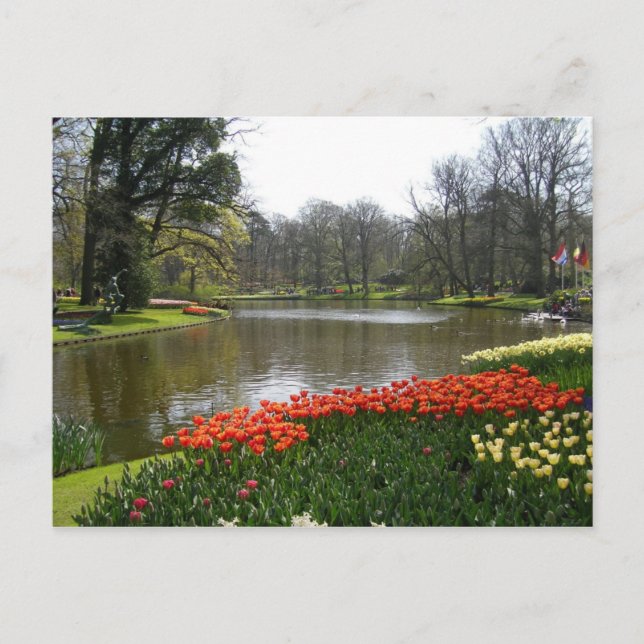 Flower postcard 63 (Front)
