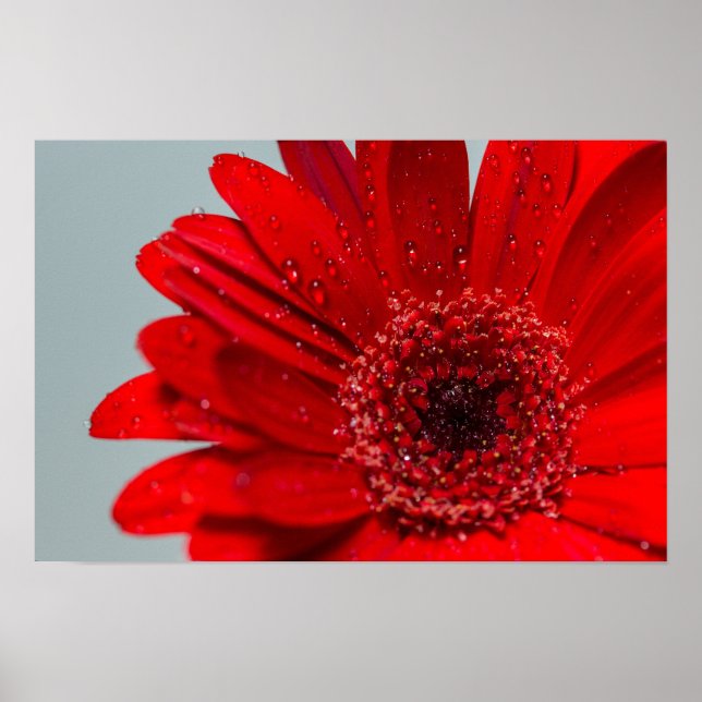 flower poster (Front)