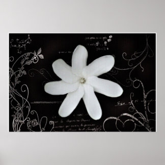 Flower Poster