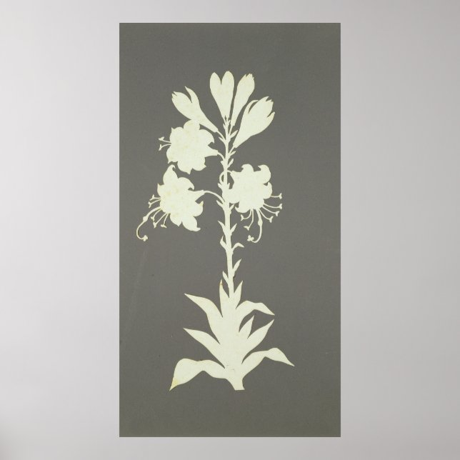 Flower Poster (Front)