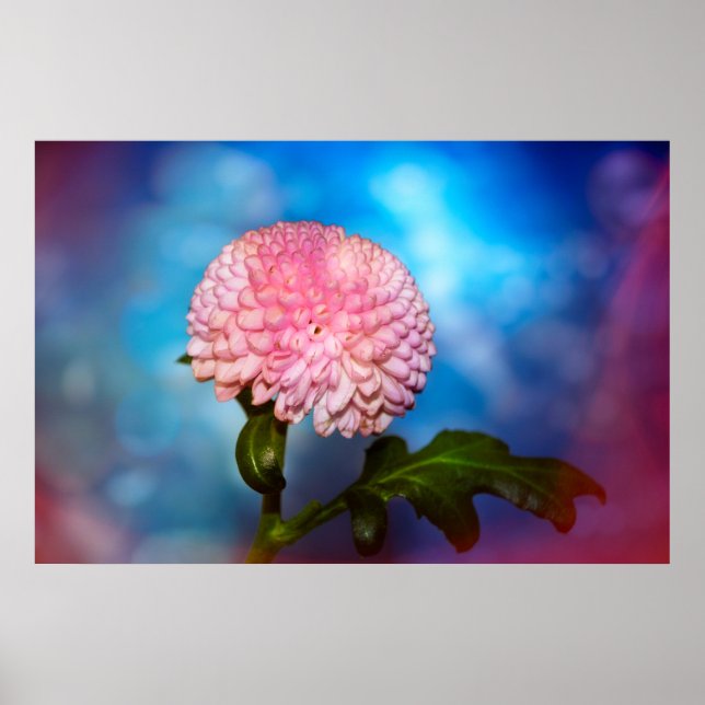 flower poster (Front)