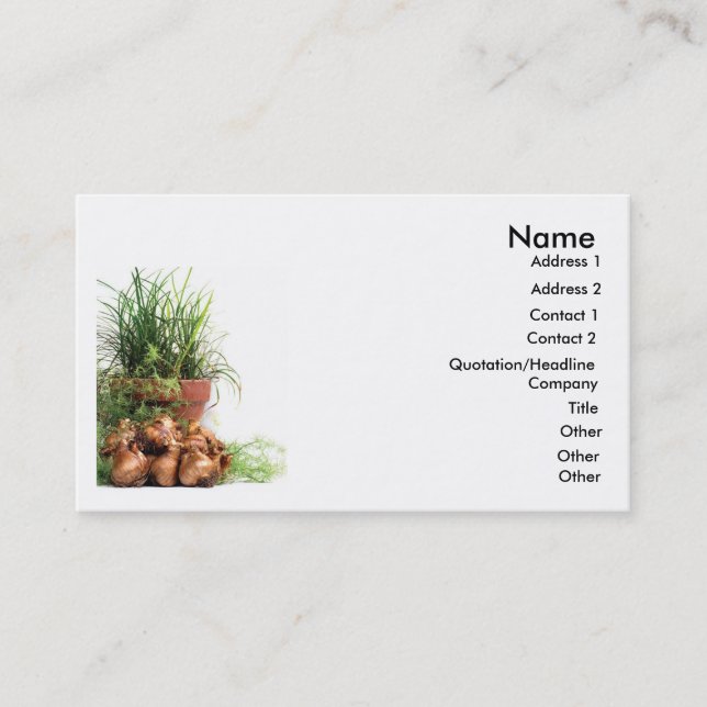 Flower Pots Business Cards (Front)