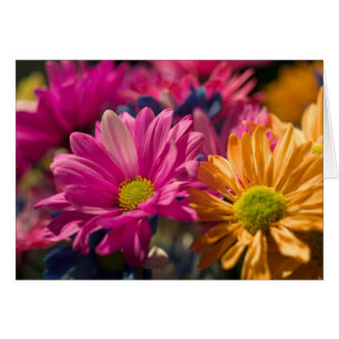Flower Power