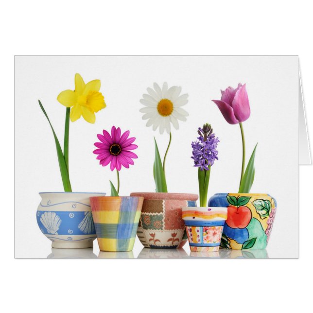 flower power (Front Horizontal)