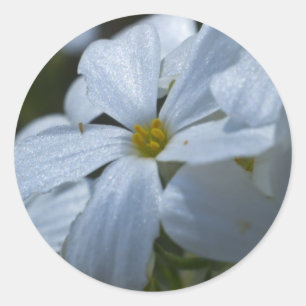 Flower Power Classic Round Sticker