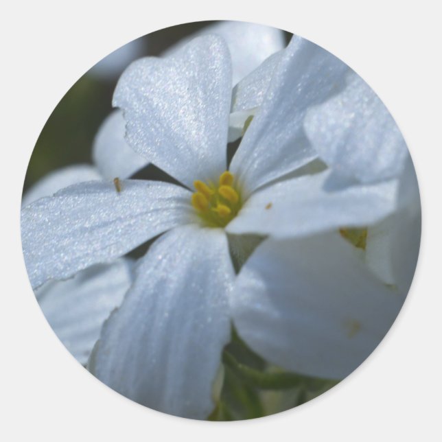 Flower Power Classic Round Sticker (Front)