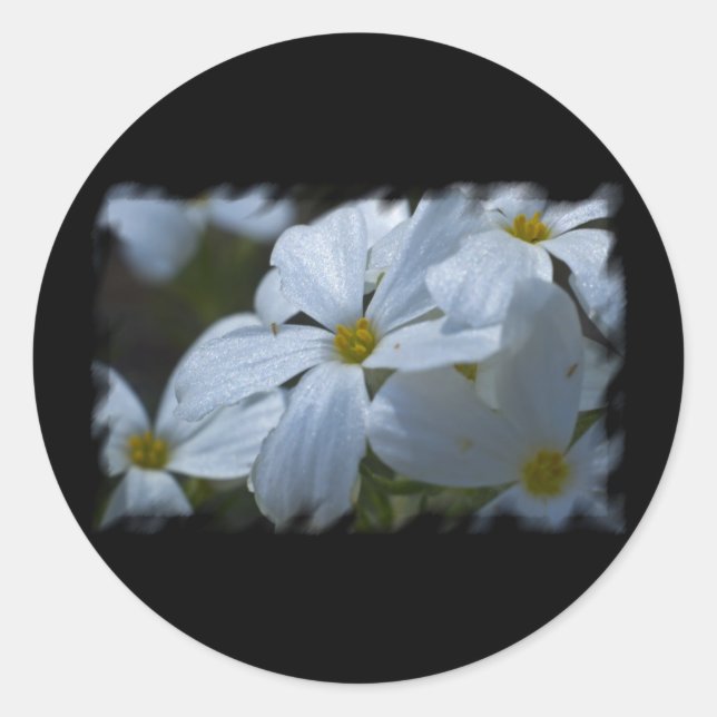 Flower Power Classic Round Sticker (Front)