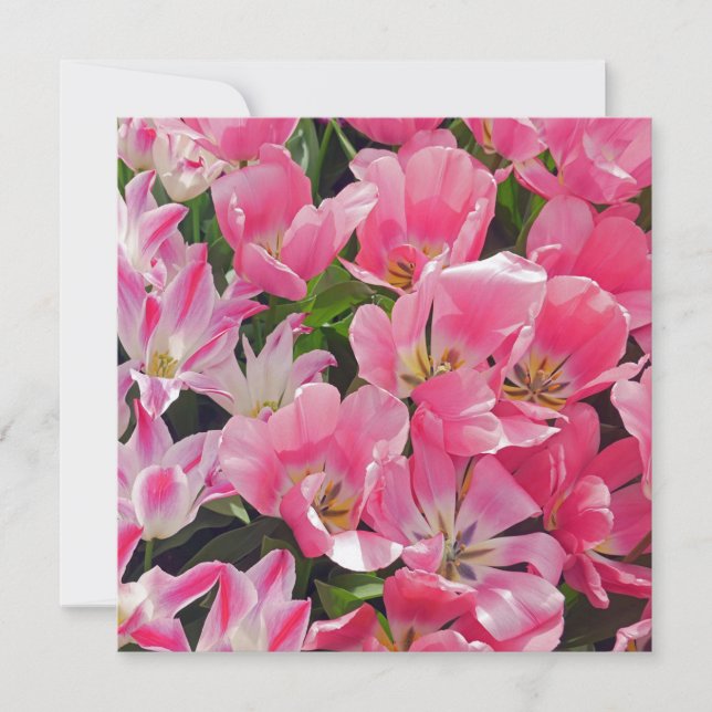 Flower Power Flowers 17 Card (Front)