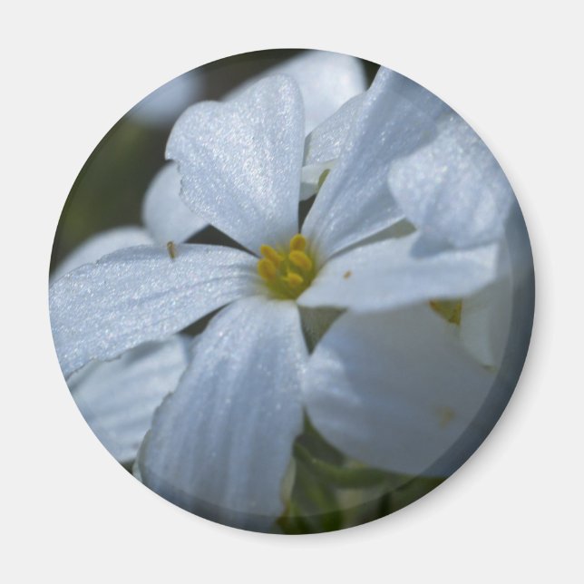 Flower Power Magnet (Front)