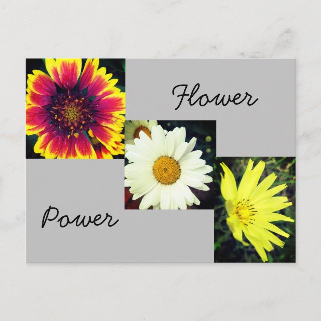 Flower Power Postcard (Front)