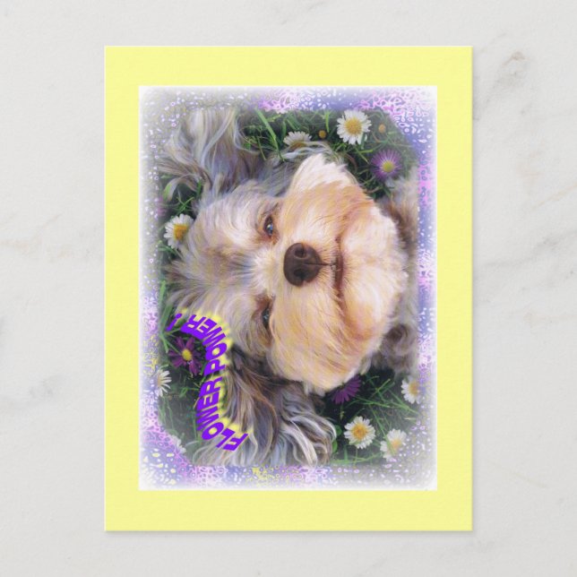FLOWER POWER POSTCARD (Front)