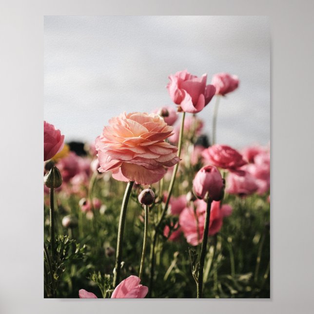 Flower Print, Value Poster Paper (Semi-Gloss) (Front)