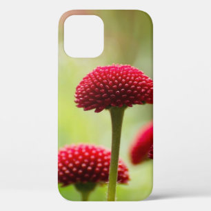 Flower-red-summer-close-up-spring- iPhone 12 Case