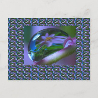 Flower REFLECTION on a DEW DROP .  lowprice GIFTS Postcard