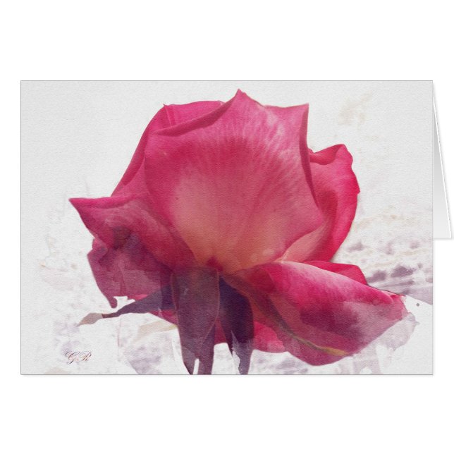 Flower. Rose. (Front Horizontal)