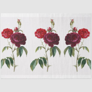 Flower Rose Vintage Pattern Tissue Paper