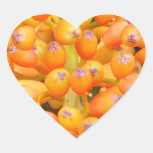 Flower Seeds Heart Sticker