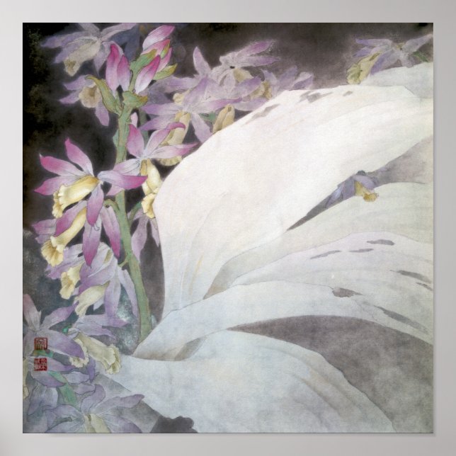 Flower Seires II- Phaiuses Poster (Front)