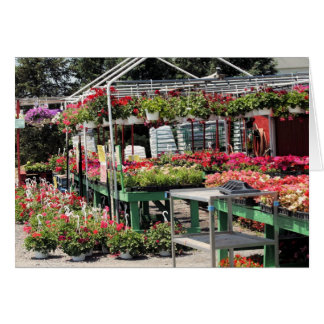 flower shop