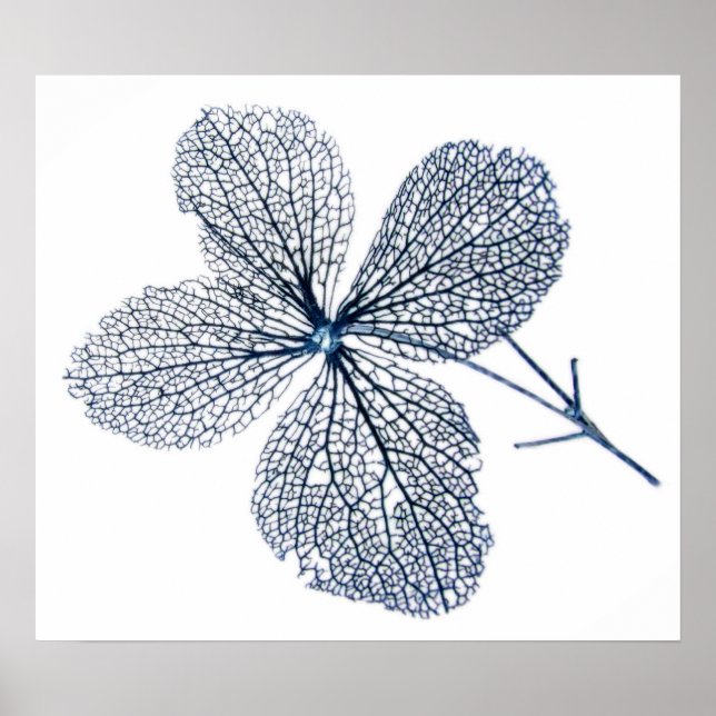 Flower Skeleton ~ print (Front)