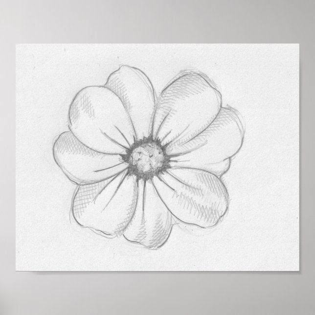 Flower Sketch Poster (Front)