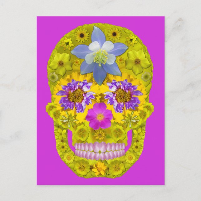Flower Skull 3 Postcard (Front)