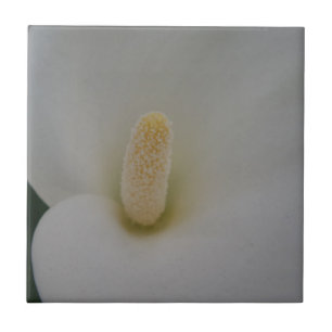 Flower Small (4.25" x 4.25") Ceramic Photo Tile