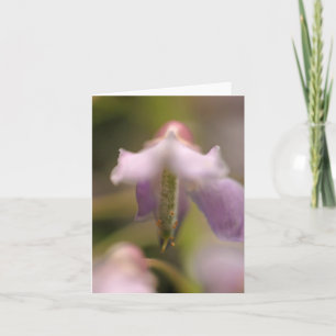 Flower Spirit Blank Greeting Card