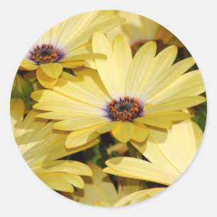 Flower Sticker