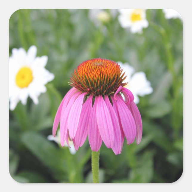 Flower Stickers (Front)