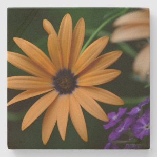 Flower Stone Coaster