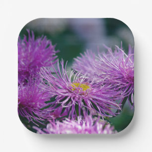 Flower Stories/Aster Flower Paper Plate