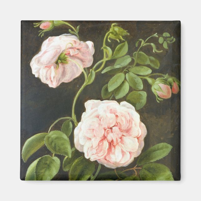 Flower Study Magnet (Front)