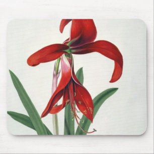 Flower Study, Mouse Pad