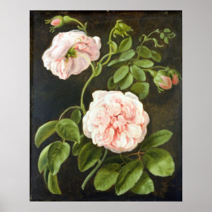 Flower Study Poster